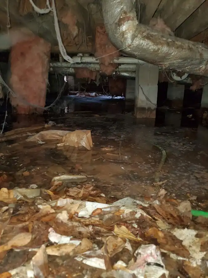 Crawl space flood assessment for Leak Detection & Repair in Mount Pleasant