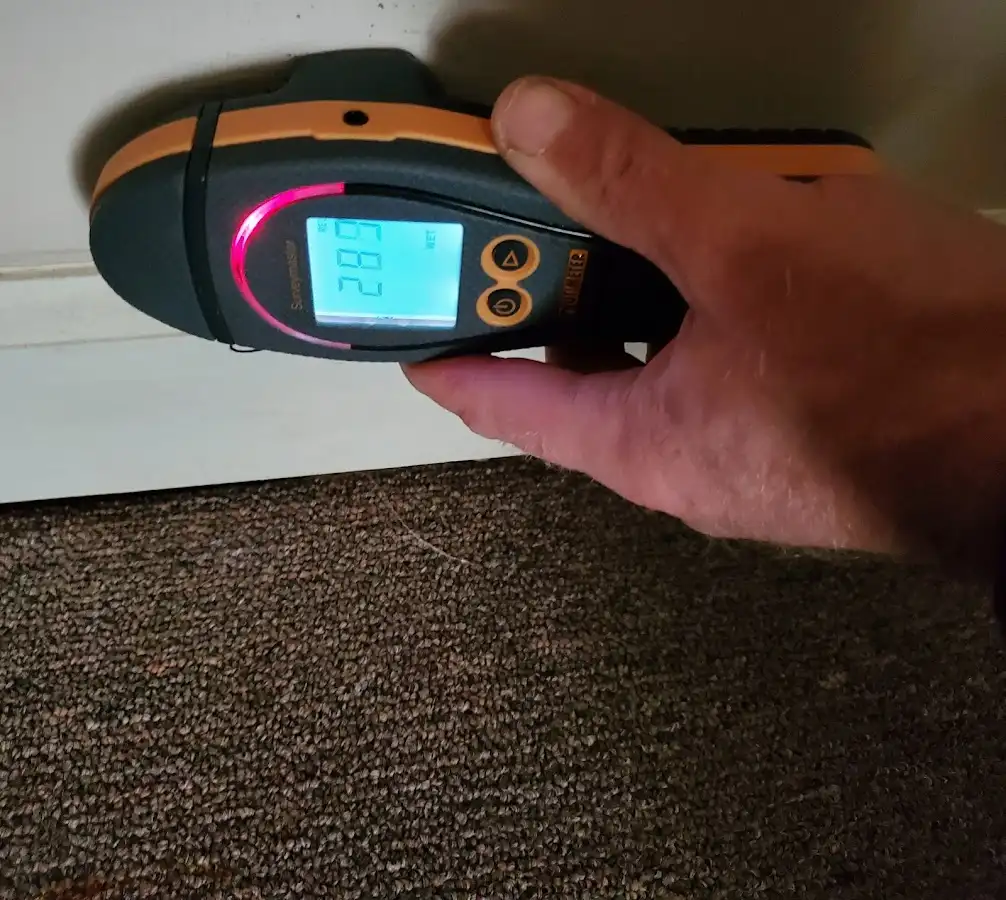 Moisture detection at baseboard during Burst Pipe Cleanup in Mount Pleasant